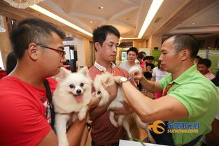 东莞动真格 犬只寄养立法，文明养犬再上“紧箍咒”