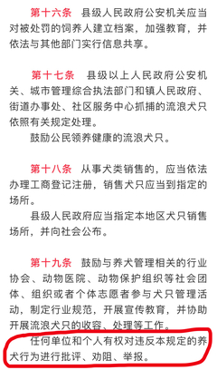 省规范犬只强制管理注射登记公开饲主办